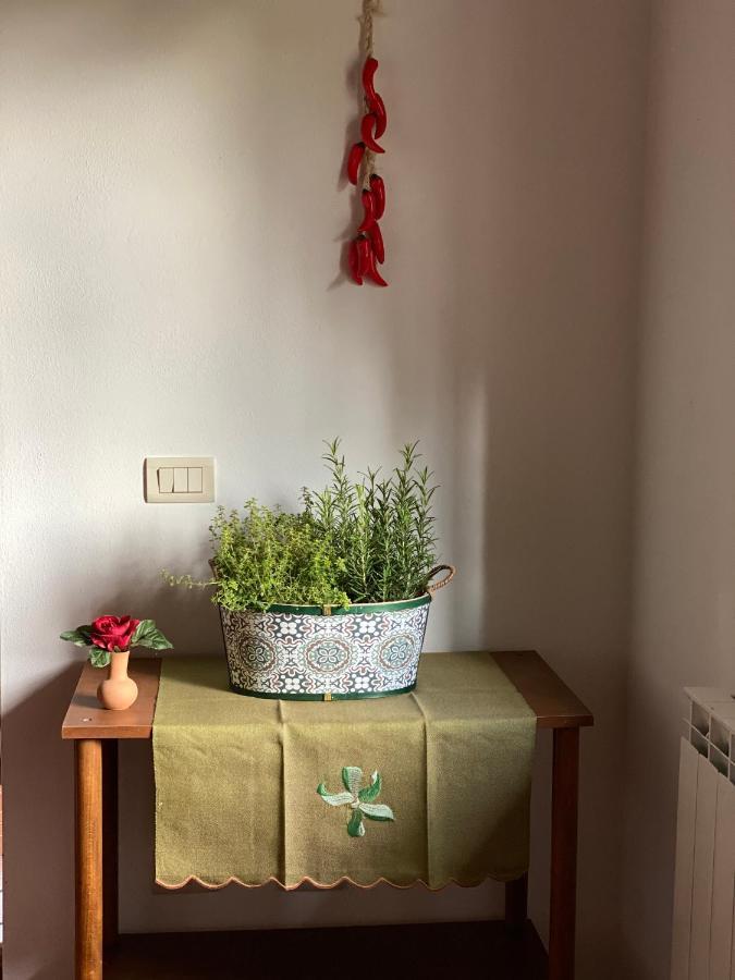 Masso Alle Rose Di Santarsiero Serena Montaione Buitenkant foto