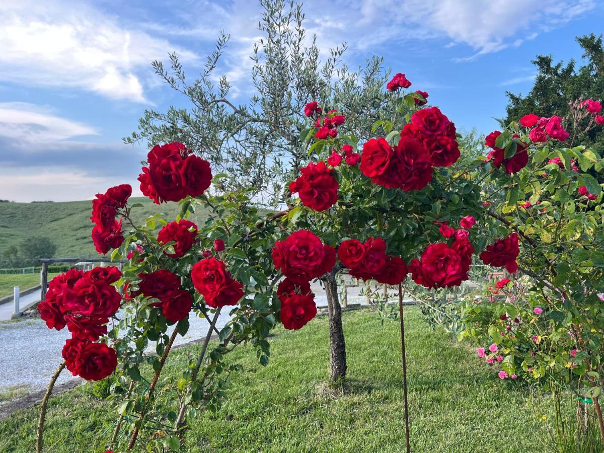 Masso Alle Rose Di Santarsiero Serena Montaione Buitenkant foto